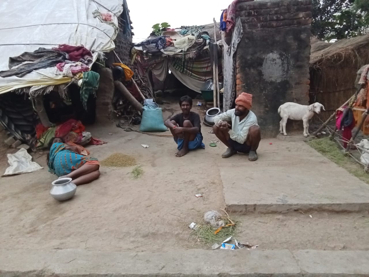 WhatsApp Image 2024-11-13 at 14.44.02_2aa4d378